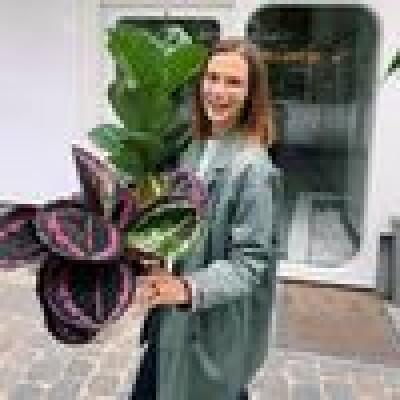 Mano  zoekt een Appartement in Antwerpen