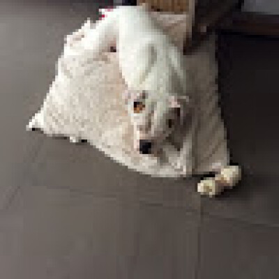 Mila zoekt een Studio in Antwerpen