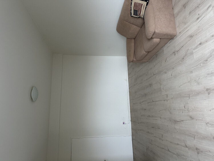 Leefruimte laminaatvloer, kleine sofa