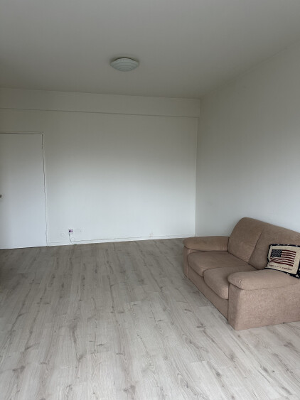 Leefruimte laminaatvloer, kleine sofa